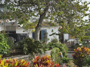 Casa das Flores Funchel